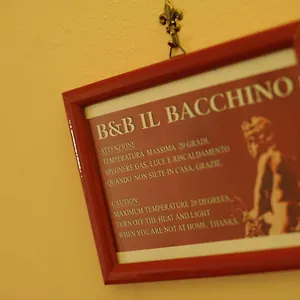 3* Affittacamere Il Bacchino